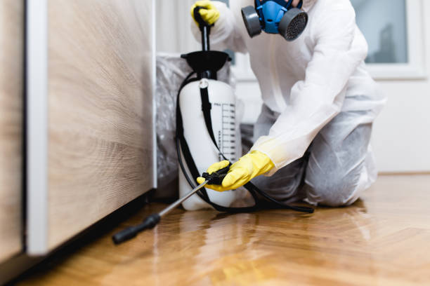 Best Flea Control Services  in Lawrence, KS