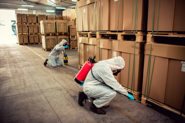 Trusted Lawrence, KS Pest Control Experts