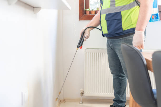 Best Termite Control Services  in Lawrence, KS