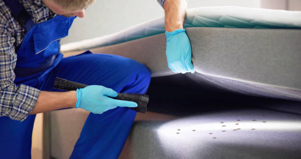 Best Exterminator Services  in Lawrence, KS