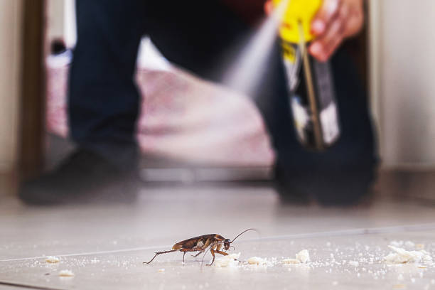 Best Mosquito Control Services  in Lawrence, KS