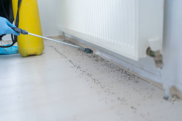 Best Pest Control Treatment  in Lawrence, KS