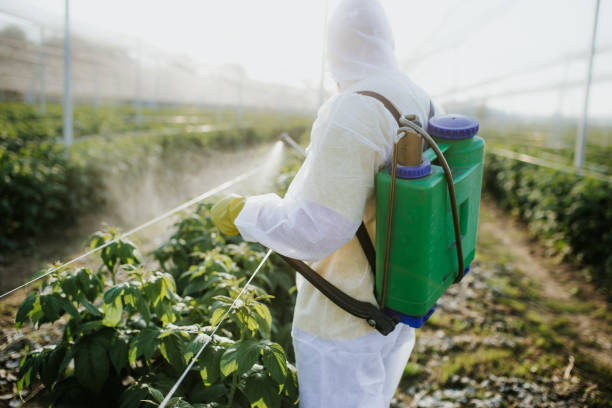 Best Ant Control Services  in Lawrence, KS